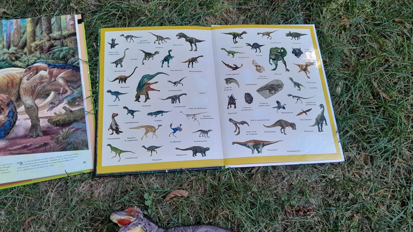 Nice dinosaur-themed set – photo 5